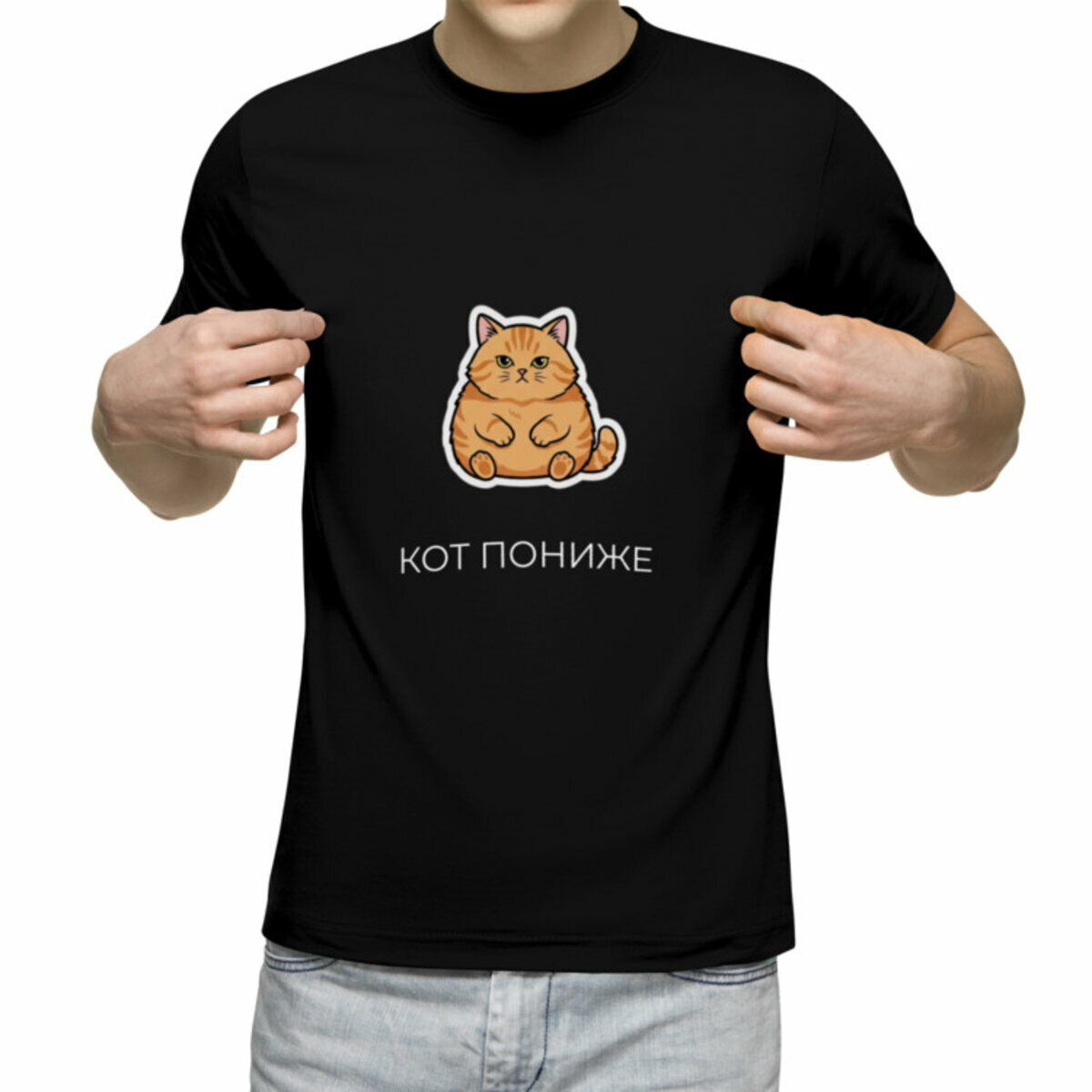 Мужская футболка «кот пониже, кот повыше, мем» (черный, 2XL)