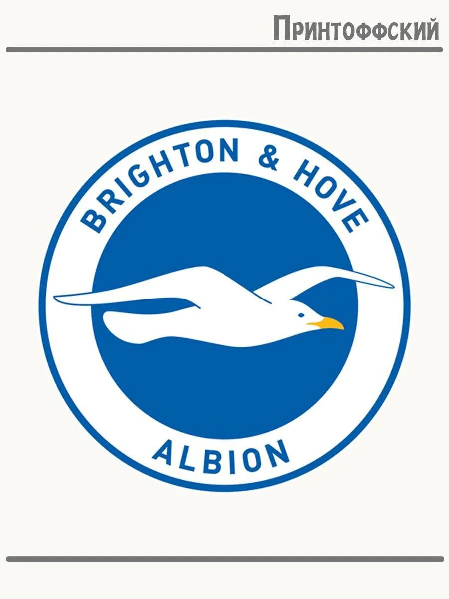 Термонаклейка для одежды и аксессуаров DTF-печать футбол brighton albion