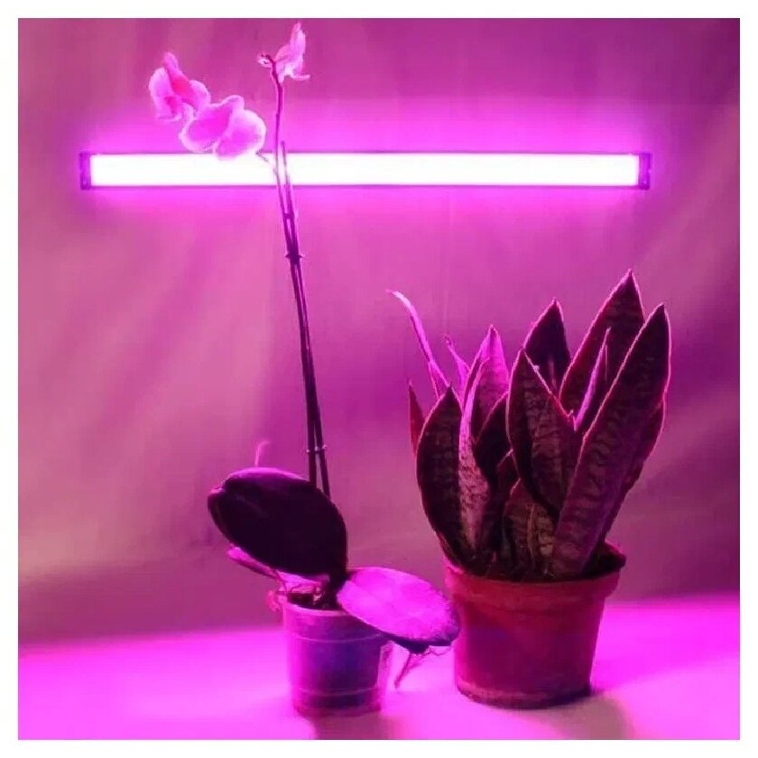 Фитосветильник для растений / Фито светильник светодиодный для рассады 9 Вт линейный / Фитолампа для растений