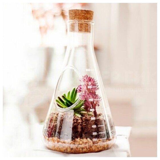 Настольный террариум для растений Chemistry Terrarium Kit - фотография № 7