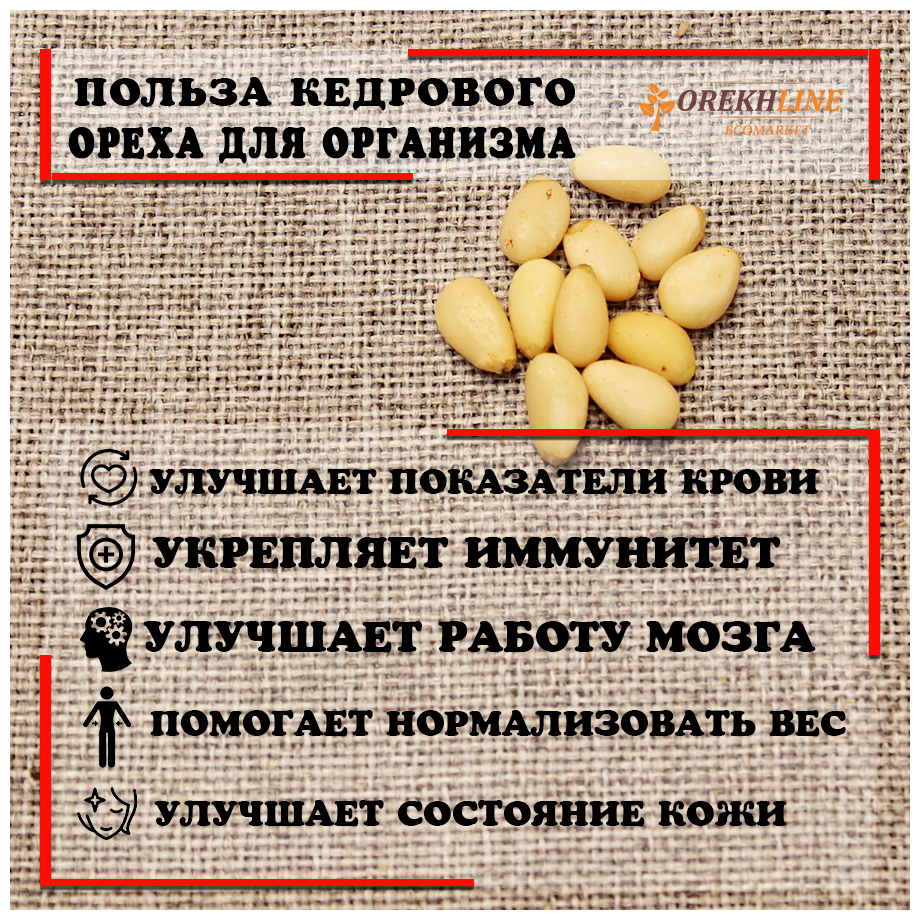 Кедровые орехи очищенные отборные, вакуумная упаковка 500г Orekhline - фотография № 4