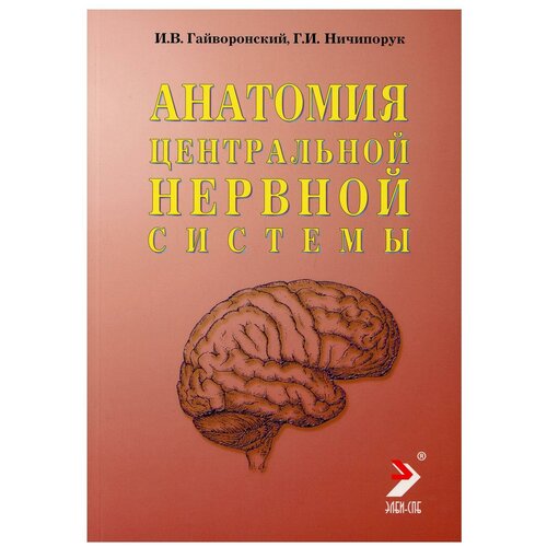 Гайворонский И.В., Ничипорук Г.И. "Анатомия центральной нервной системы"