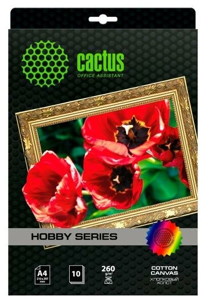 Холст Cactus CS-СA426010 А4 300 г/м2 10л хлопковая