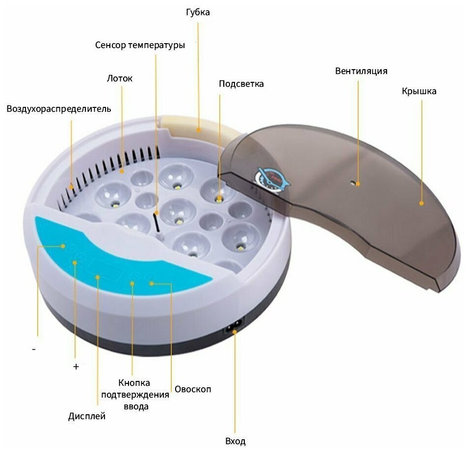 Инкубатор HHD 9 мини автоматический для яиц с овоскопом - фотография № 11