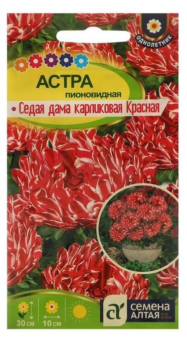 Семена цветов Астра "Седая Дама", красная, карликовая, Сем. Алт, ц/п, 0,1 г