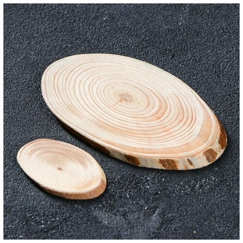 Набор из спилов дерева Сосновый набор 40 шт 4 вида спилов 560₽