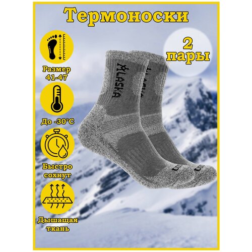 Термоноски Аляска мужские, женские, термо носки теплые, размер 41-47 2 пары