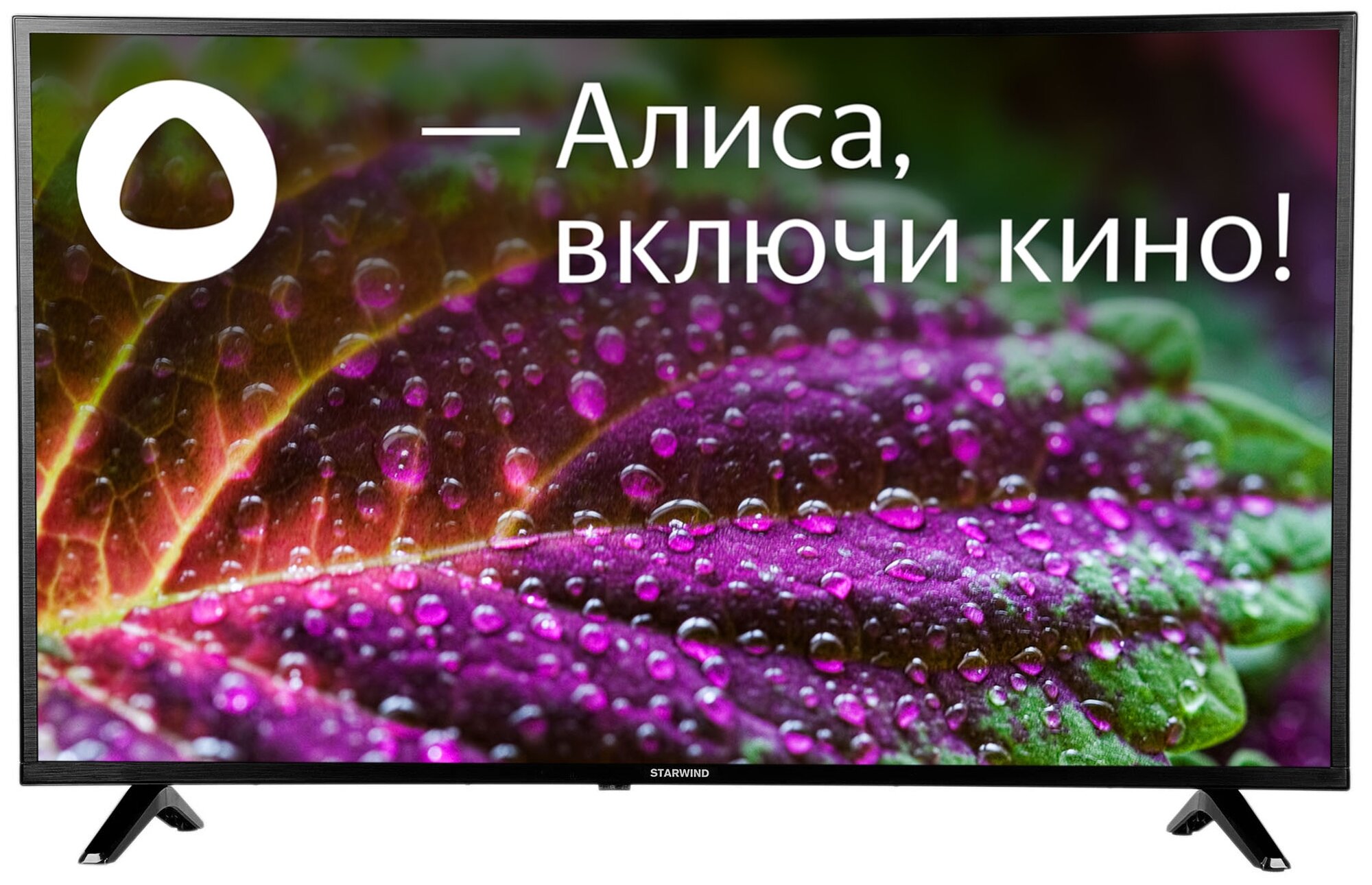 Телевизор LED Starwind 43" SW-LED43UB404 Яндекс.ТВ черный Ultra HD 60Hz DVB-T DVB-T2 DVB-C DVB-S DVB-S2 USB WiFi Smart TV (RUS)