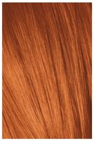 Мусс Schwarzkopf Professional IGORA EXPERT 8-77 Light Blonde Copper Extra, 100 мл