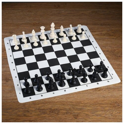 Шахматы в пакете, фигуры (пешка h-4.5 см, ферзь h-7.5 см), поле 50 х 50 см шахматы турнирные утяжеленные пешка h 5 2 см 50 х 50 см