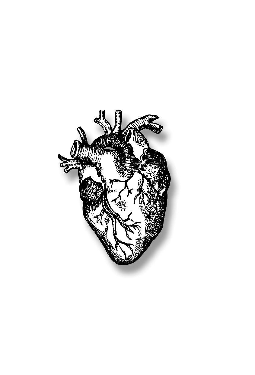 Дело сердца. История сердца в 11 операциях - фото №3