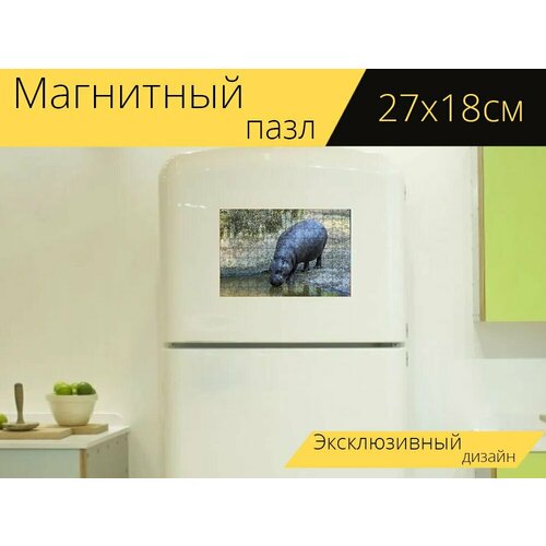 Магнитный пазл Зоопарк, млекопитающее, бегемот на холодильник 27 x 18 см. магнитный пазл выдра подводный млекопитающее на холодильник 27 x 18 см