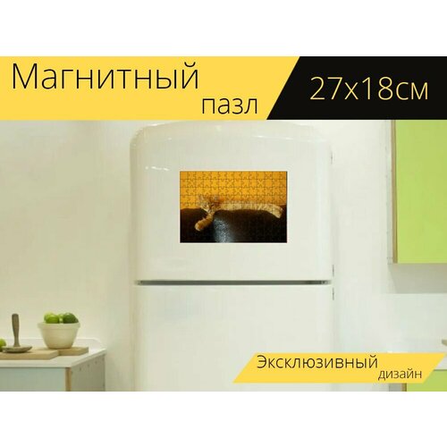 Магнитный пазл Мейн кун, кот на холодильник 27 x 18 см.