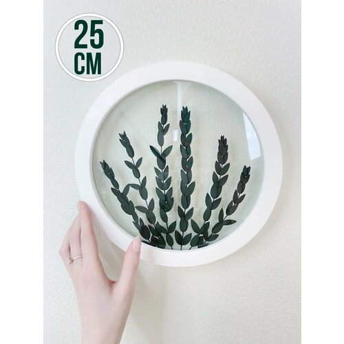 Панно на стену белое со стабилизированным зеленым эвкалиптом