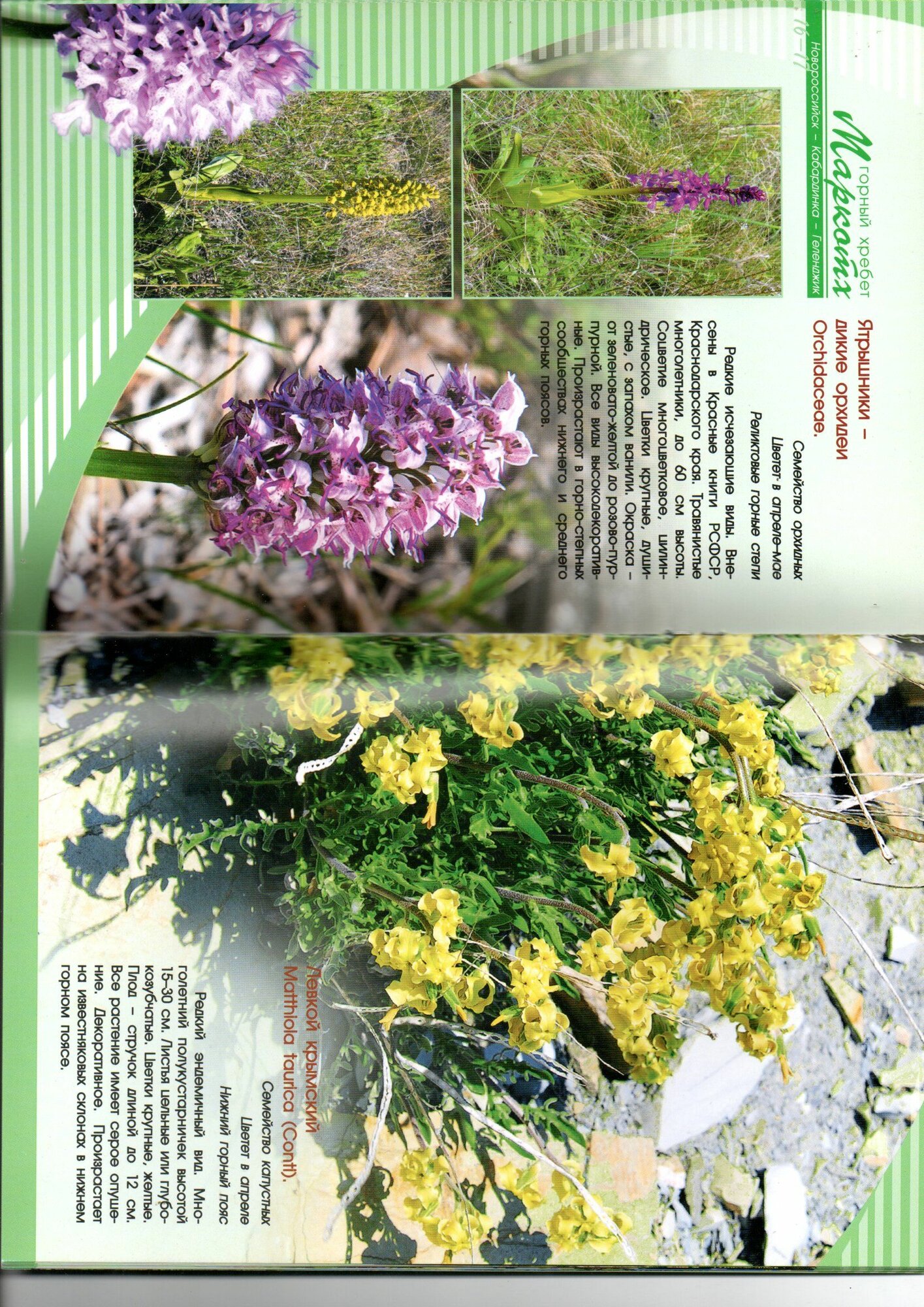 Горный хребет Маркотх — фото 1