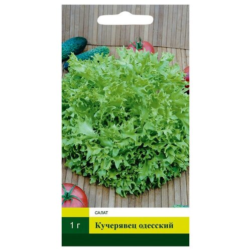 Семена Салат Кучерявец одесский 1г для дачи, сада, огорода, теплицы / рассады в домашних условиях