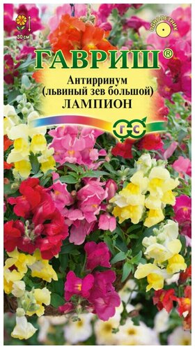Семена Гавриш Львиный зев ампельный Лампион 5 шт. — купить в интернет ...