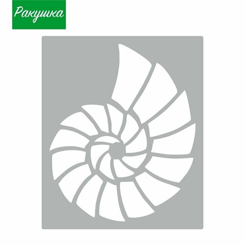 Трафарет для стен Ракушка. Многоразовый трафарет для дизайна и декора стен. Трафарет для творчества. Пластик 0,5 мм.