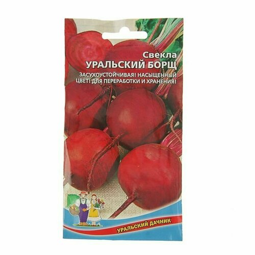 Семена Свекла Уральский Борщ темно-красная, гладкая, округлая 2 г, 5 пачек семена свекла генеральская среднепозд цилиндрическая темно красная 2 г