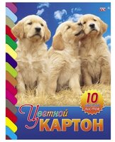 Цветной картон Три щенка Hatber, A4, 10 л., 10 цв.