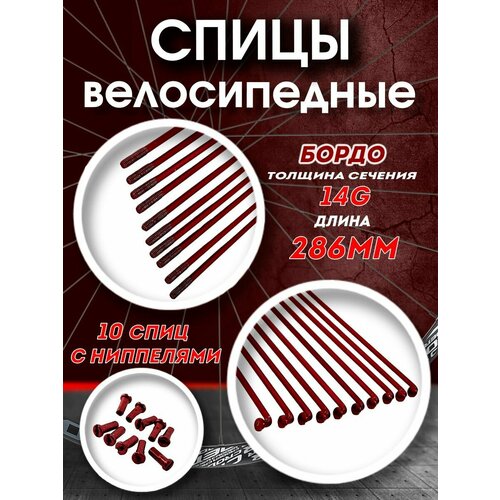 Спицы 286 мм x 14G с ниппелем стальные бордо