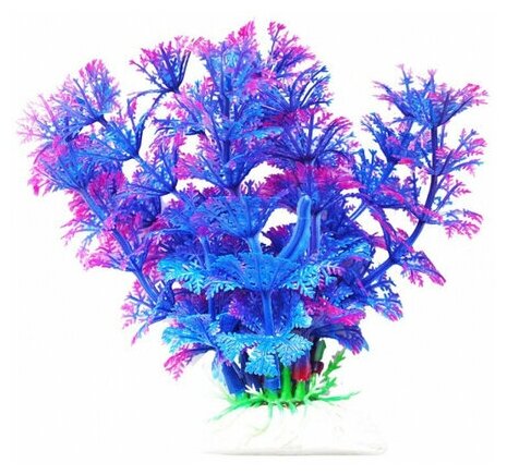Уют ВК214 Растение Амбулия сине-фиолетовая 11см (1 шт) - фотография № 3