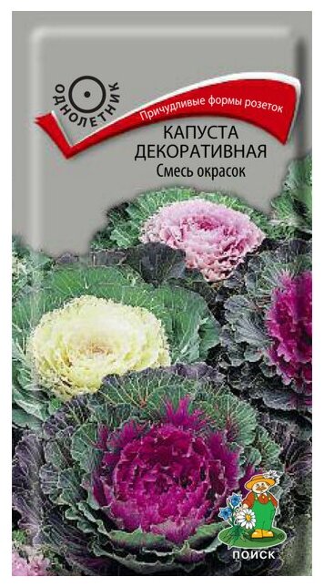 Семена капуста декоративная смесь окрасок 0,25г