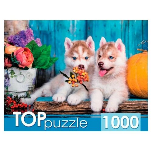 Пазл TOP Puzzle 1000 деталей: Два щенка хаски