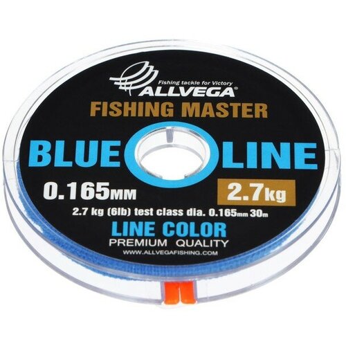 фото Леска монофильная allvega "fishing master" 30м 0,165мм, 2,7кг, голубая