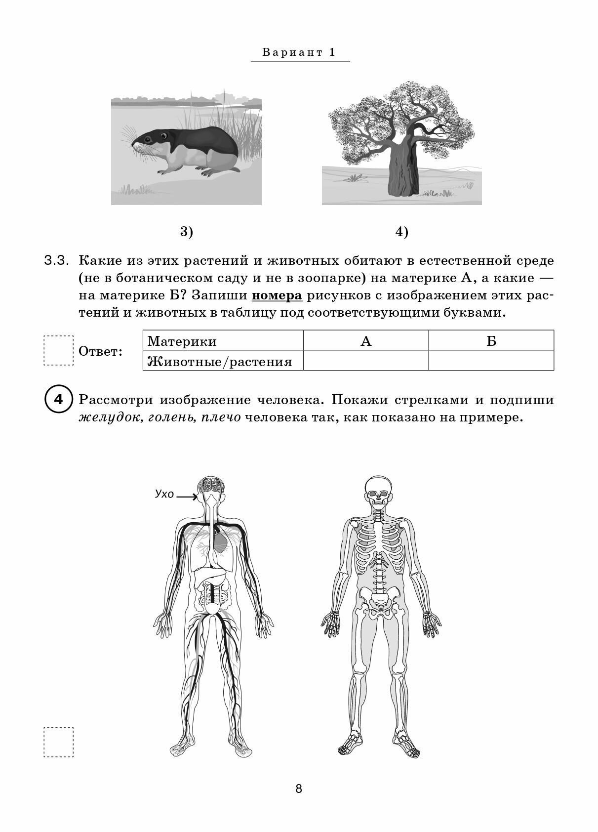 Окружающий мир. ВПР. 4-й класс. 10 тренировочных вариантов - фото №8