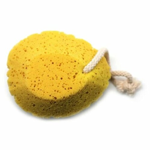 Губка банная Basicare со шнуром 145115 см 590₽