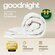Одеяло GoodNight Comfort искусcтвенный лебяжий пух/микрофибра 300 гр/м2