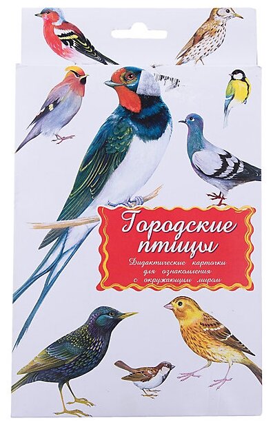 Дидактические карточки Маленький гений Городские птицы, 25х15 см