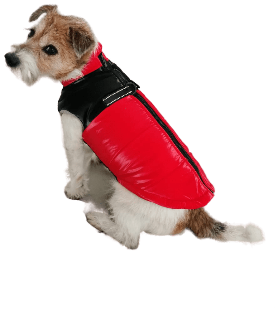 Одежда для собак мелких и средних пород на флисовой подкладке цвет красный глянцевый, куртка размер L, жилет для собак зима весна - фотография № 10