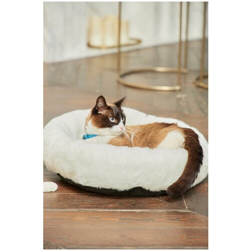 Подушка для кошек и собак бриси, 45х45 см женская футболка с принтом кошки кошки котенка кошки