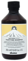 Davines шампунь Natural Tech Purifying 250 мл