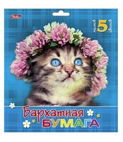 Цветная бумага бархатная Милый котик Hatber, A5, 5 л., 5 цв.