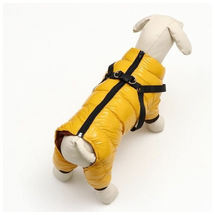 Комбинезон для собак со шлейкой"Моден", размер 12 (ДС 28, ОГ 38, ОШ 27 см), жёлтый 7980722 . - фотография № 3