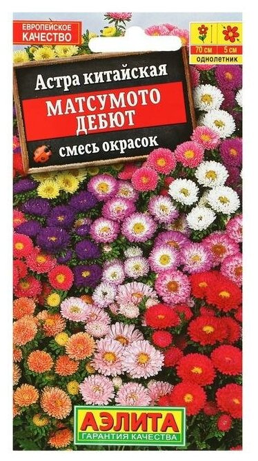 Семена Астра Матсумото Дебют смесь окрасок  02г