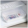 Фото #5 Контейнер-органайзер для холодильника, DD Style, 32,3х18,3х10,3 см