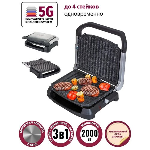 Гриль Pioneer GR1009E 599900₽