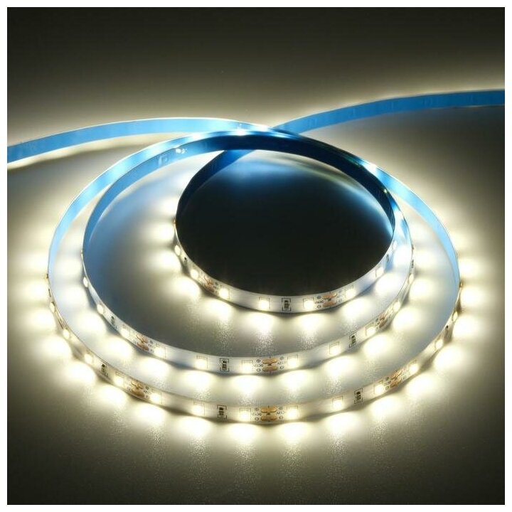 Светодиодная лента Ecola PRO 5 м, IP20, SMD5060, 60 LED/м, 11 Вт/м, 12 В, 2800К