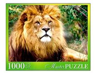Пазл Рыжий кот Masterpuzzle Африканский лев (ГИМП1000-6884) , элементов: 1000 шт.
