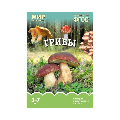 Книга Мозаика-Синтез ФГОС Мир в картинках. Грибы, 29.5х20.5 см