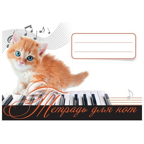 Музыка для детей. Тетрадь для нот. Рыжий котенок. тетрадь для нот рыжий котенок