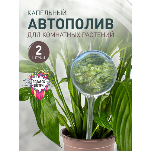 Капельный полив 2 штуки iulkapu