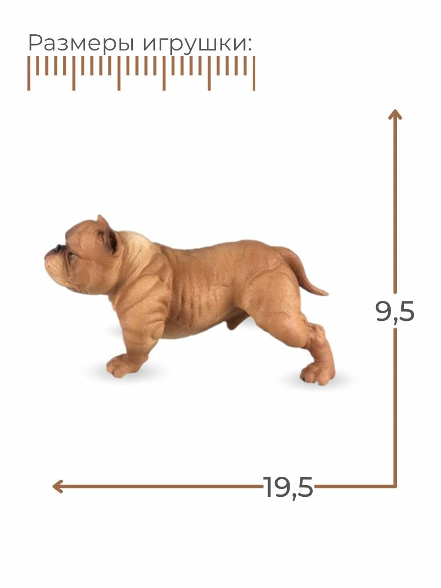 Собака фигурка, Американский Булли / Фигурки игрушки — фото 1