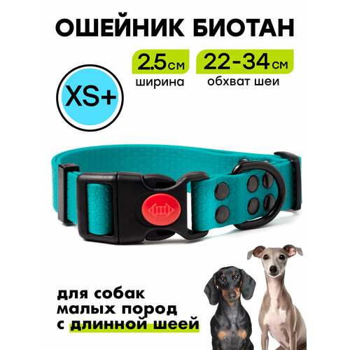 Ошейник из биотана 22-34 см (XS+), 25 мм, Woofy "Iron", для маленьких собак, водостойкий, бирюзовый