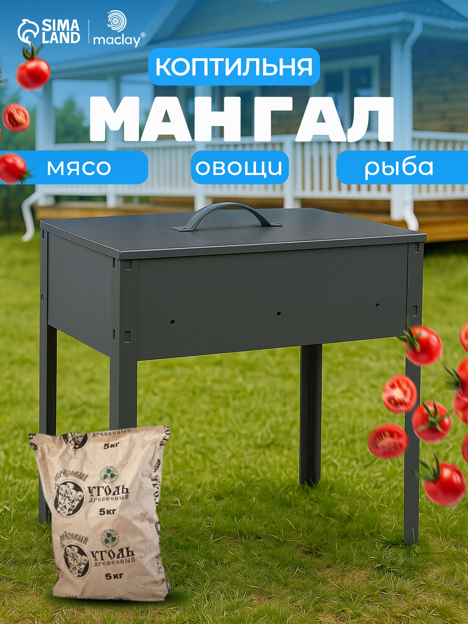 Мангал-коптильня Maclay «Эконом» без шампуров размер 40 х 25 х 40 см цвет серый