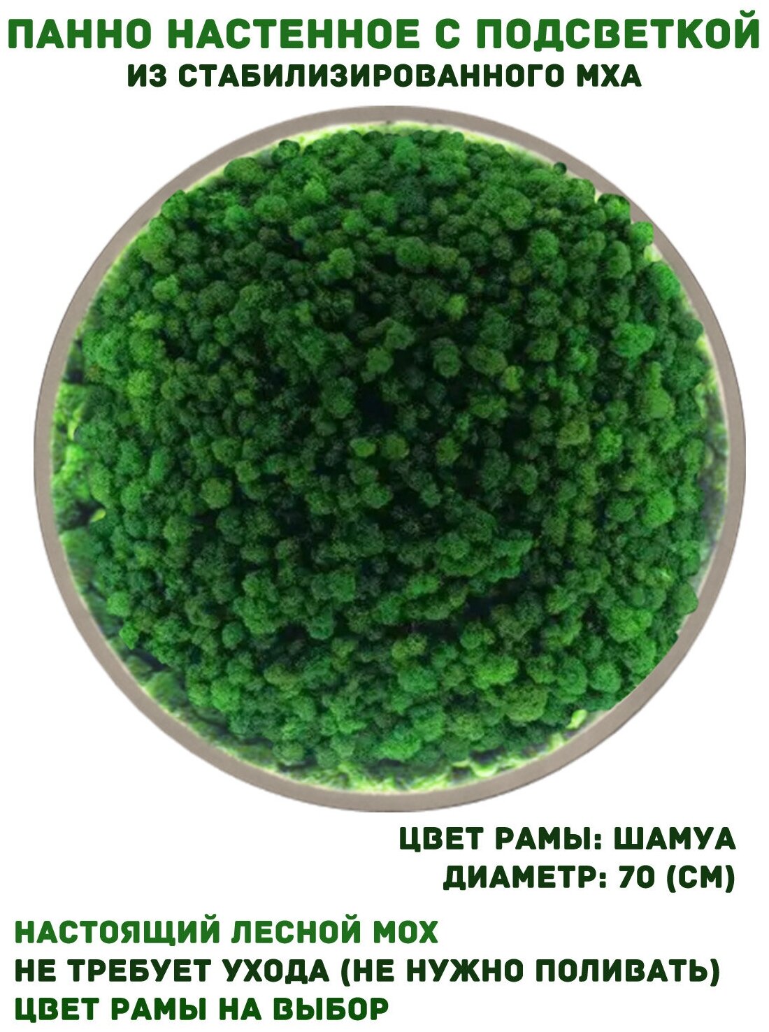Круглое панно из стабилизированно мха GardenGo с подсветкой в рамке цвета шамуа диаметр 70 см, цвет мха зеленый